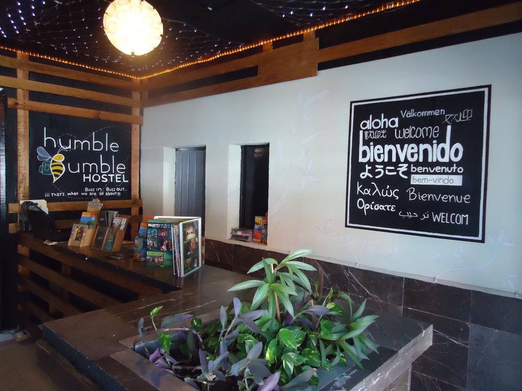 Humble Bumble Hostel プレヤデルカーメン エクステリア 写真